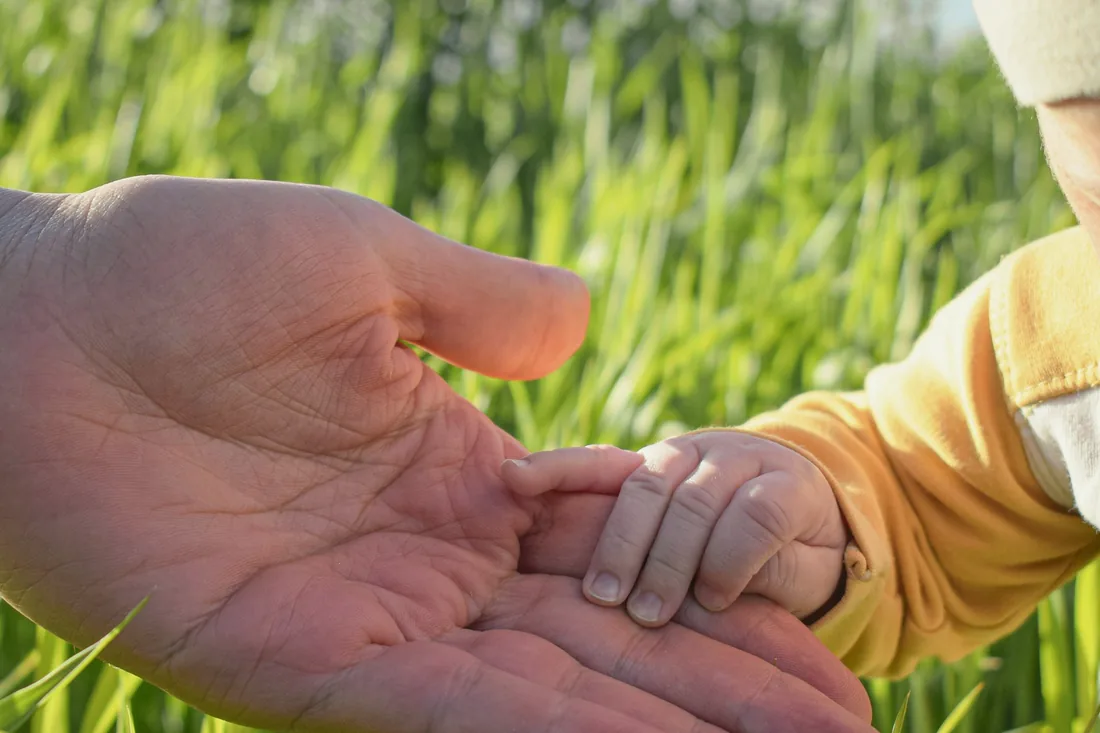 La main d'un adulte ouverte, dans laquelle repose la petite main d'un enfant, au milieu d'une prairie